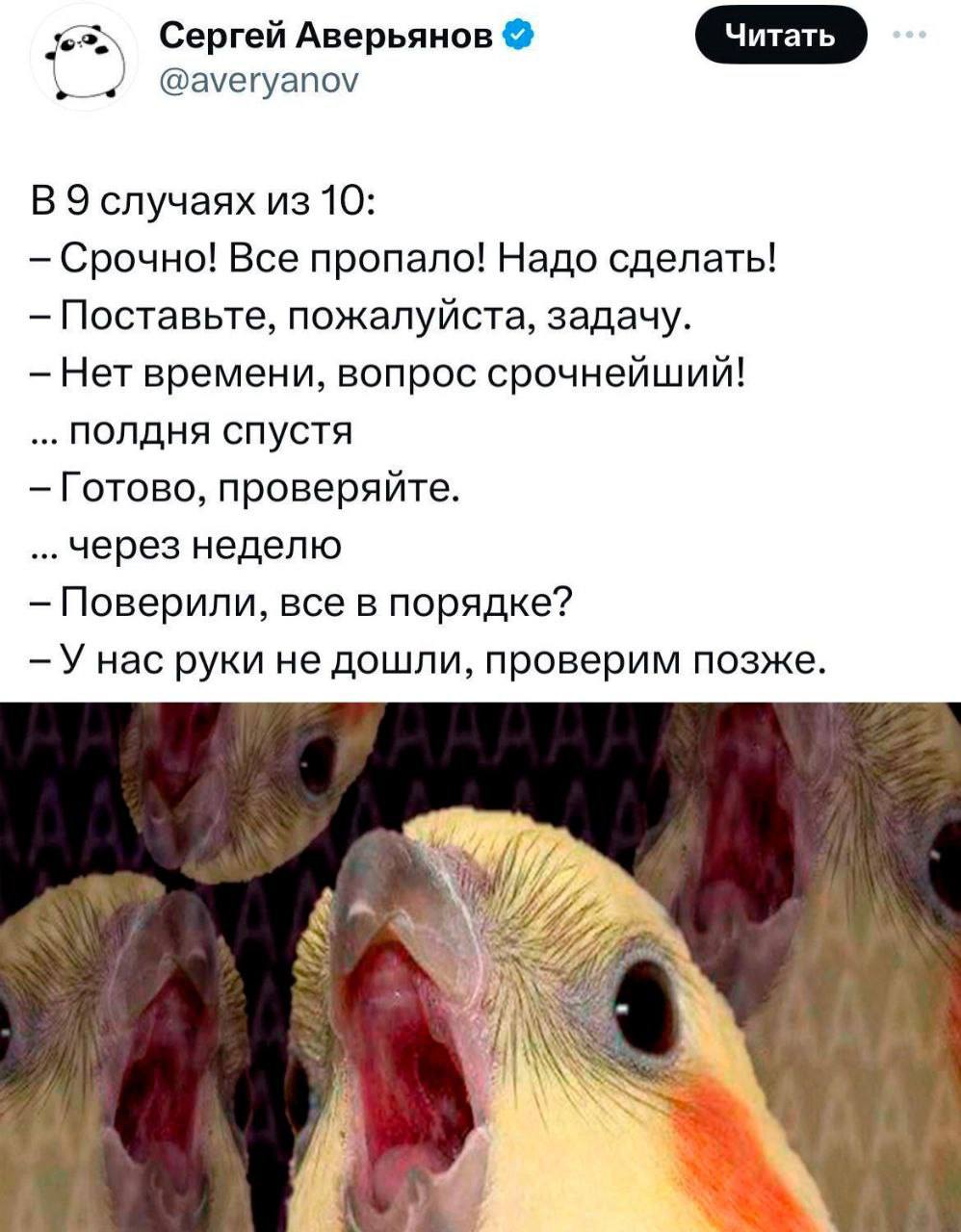 В такие моменты важно говорить уверенно: «Да, было!» | Сетка — социальная сеть от hh.ru