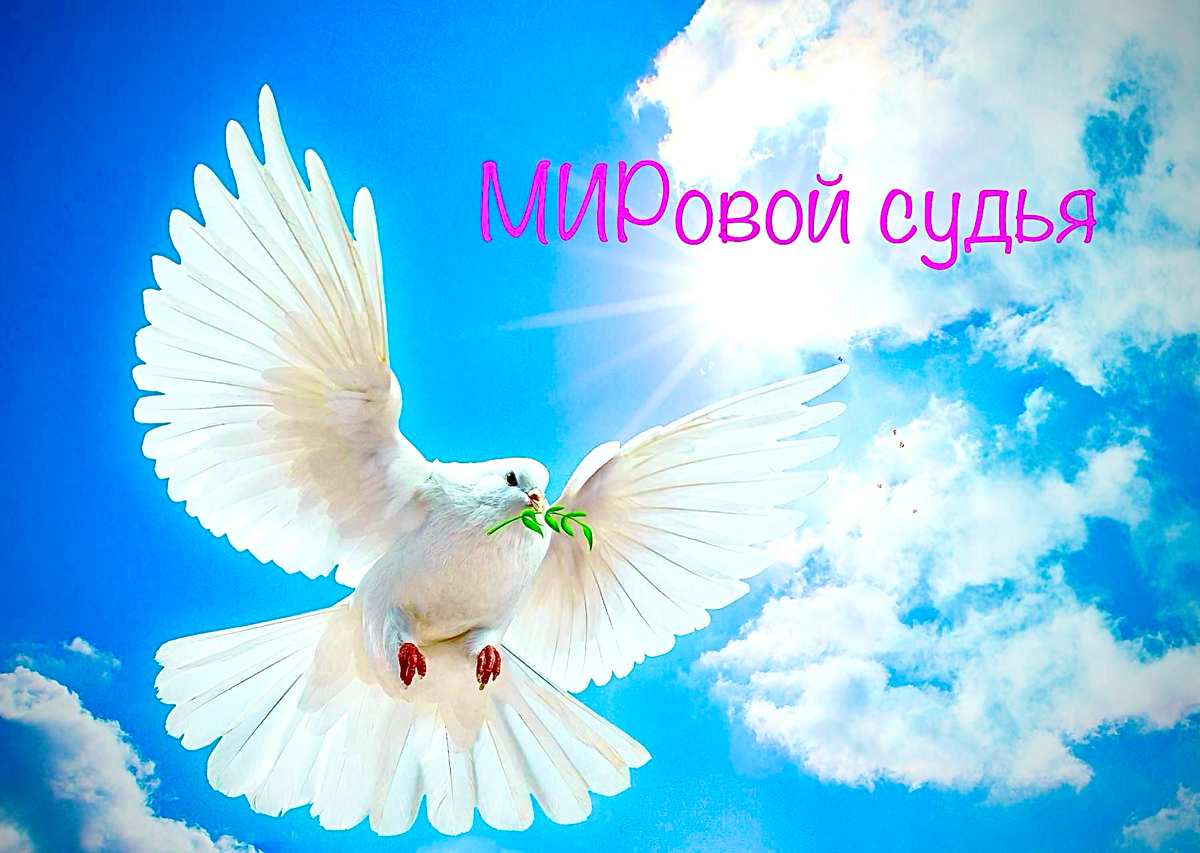 МИРовой судья.
Специфика рассмотрения дел у мировых судей общеизвестна | Сетка — социальная сеть от hh.ru