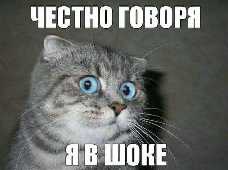 Шеф, всё пропало!
Агентство СайтКрафт похвасталось проектом, в рамках которого команде удалось снизить стоимость лида с 1781 до 509 рублей. Однако статья по ссылке ниже, вовсе не про успешный успех | Сетка — социальная сеть от hh.ru