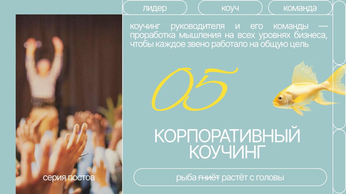 Параллельный коучинг собственников и сотрудников компании: со всеми сразу и с каждым в отдельности
Как мы с вами уже говорили в этой рубрике, корпоративный коучинг — это не только про индивидуальный р... | Сетка — социальная сеть от hh.ru