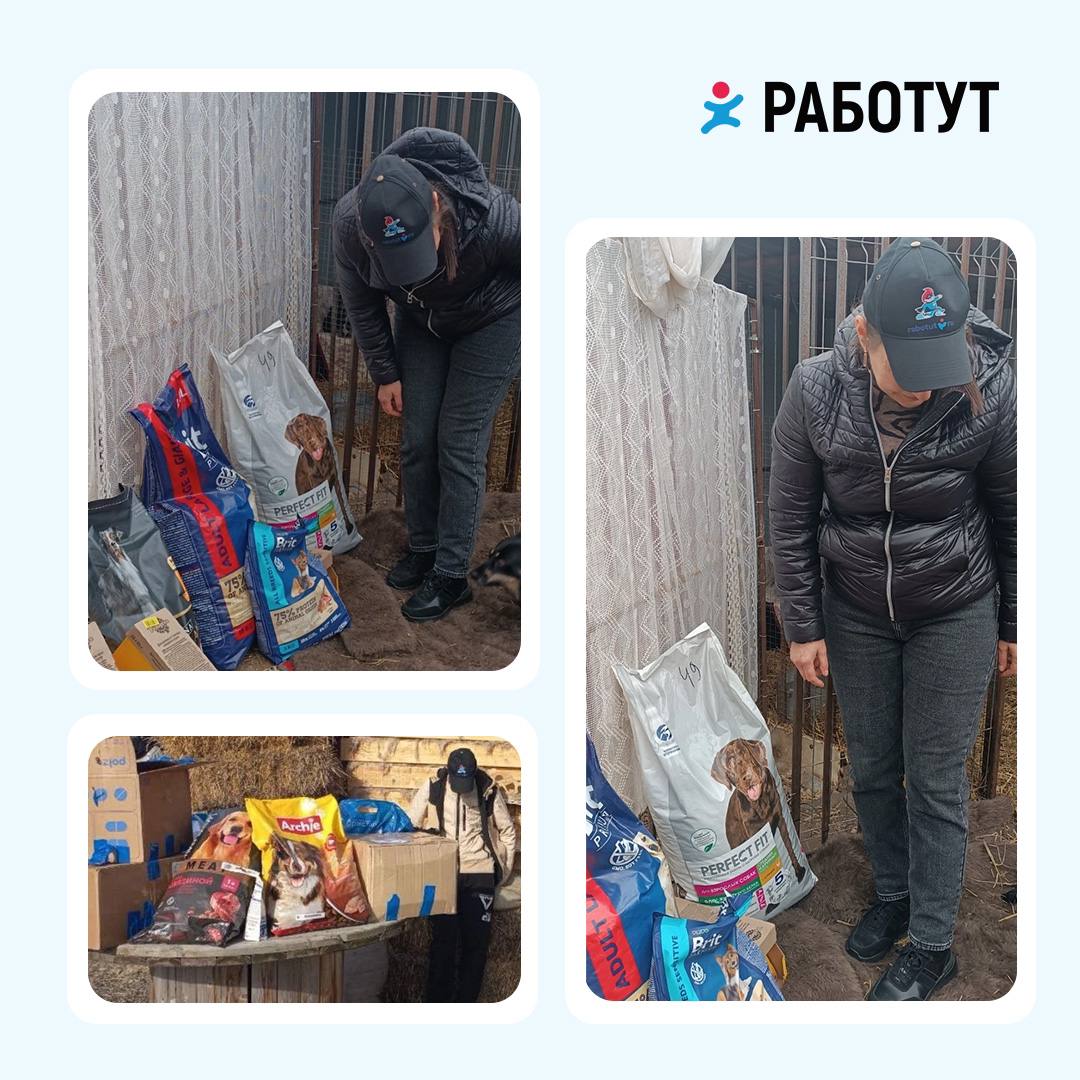 Работут помогает в приютах🐶🐱
Наши волонтёры есть в разных уголках страны, они регулярно привозят животным корм и играют с ними🥰
Сейчас работутовцы помогают в Москве, Сургуте, Тольятти, Великих Луках, ... | Сетка — социальная сеть от hh.ru