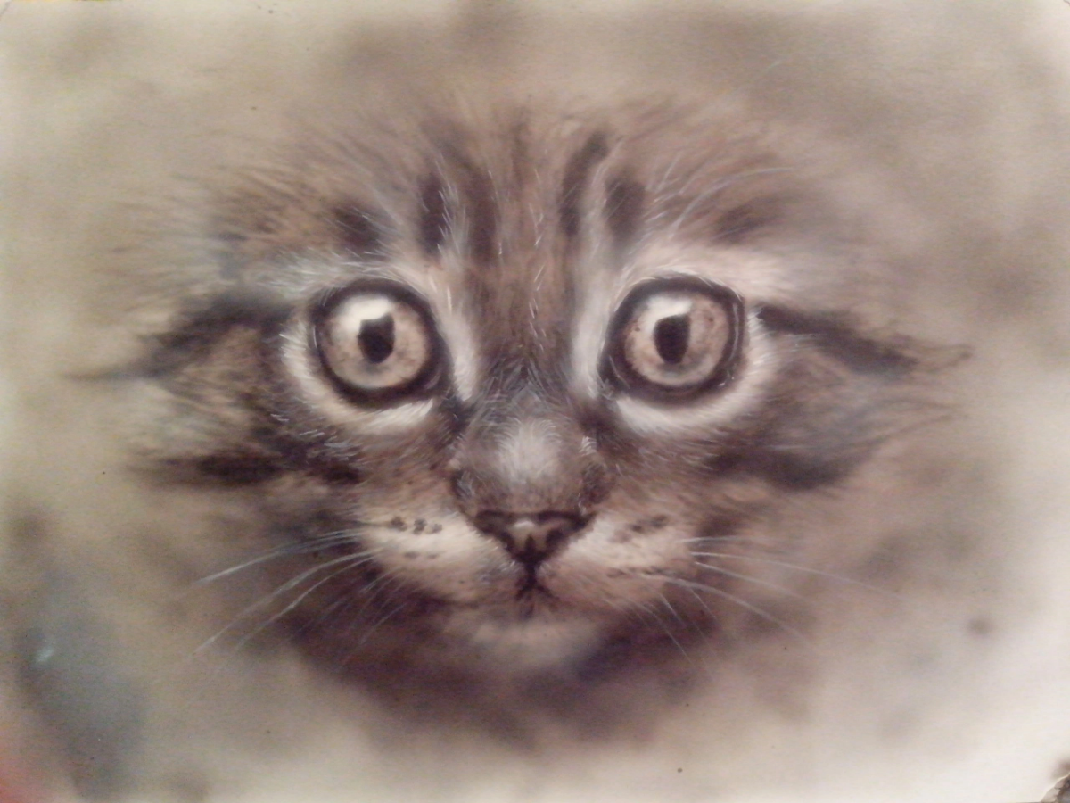 Несколько лет назад пришла в голову мысль, что хочу попробовать рисовать аэрографом. Купила (хороший), полный комплект, аэрограф, компрессор, краски, доп инструменты | Сетка — социальная сеть от hh.ru