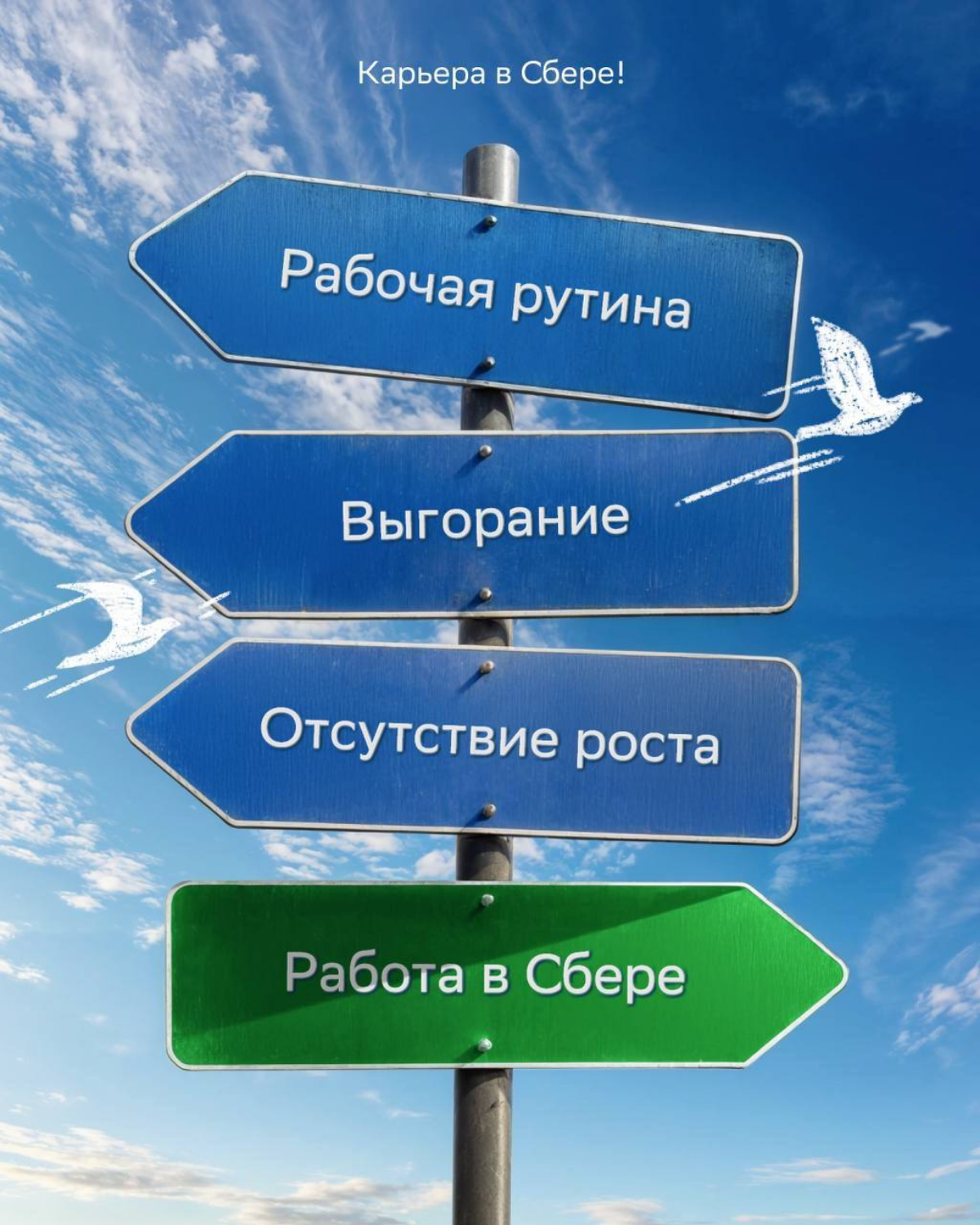 У нас тут есть предложение | Сетка — социальная сеть от hh.ru