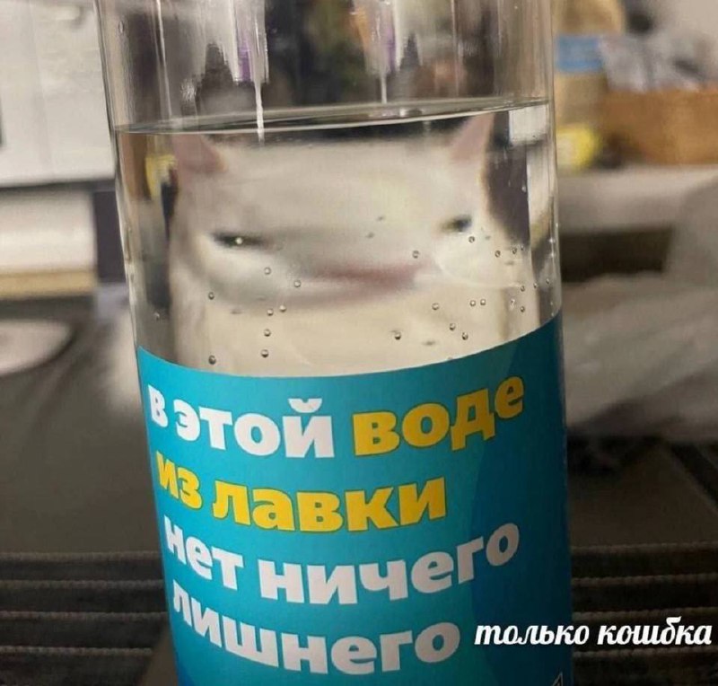 Подборка мемов за неделю | Сетка — социальная сеть от hh.ru