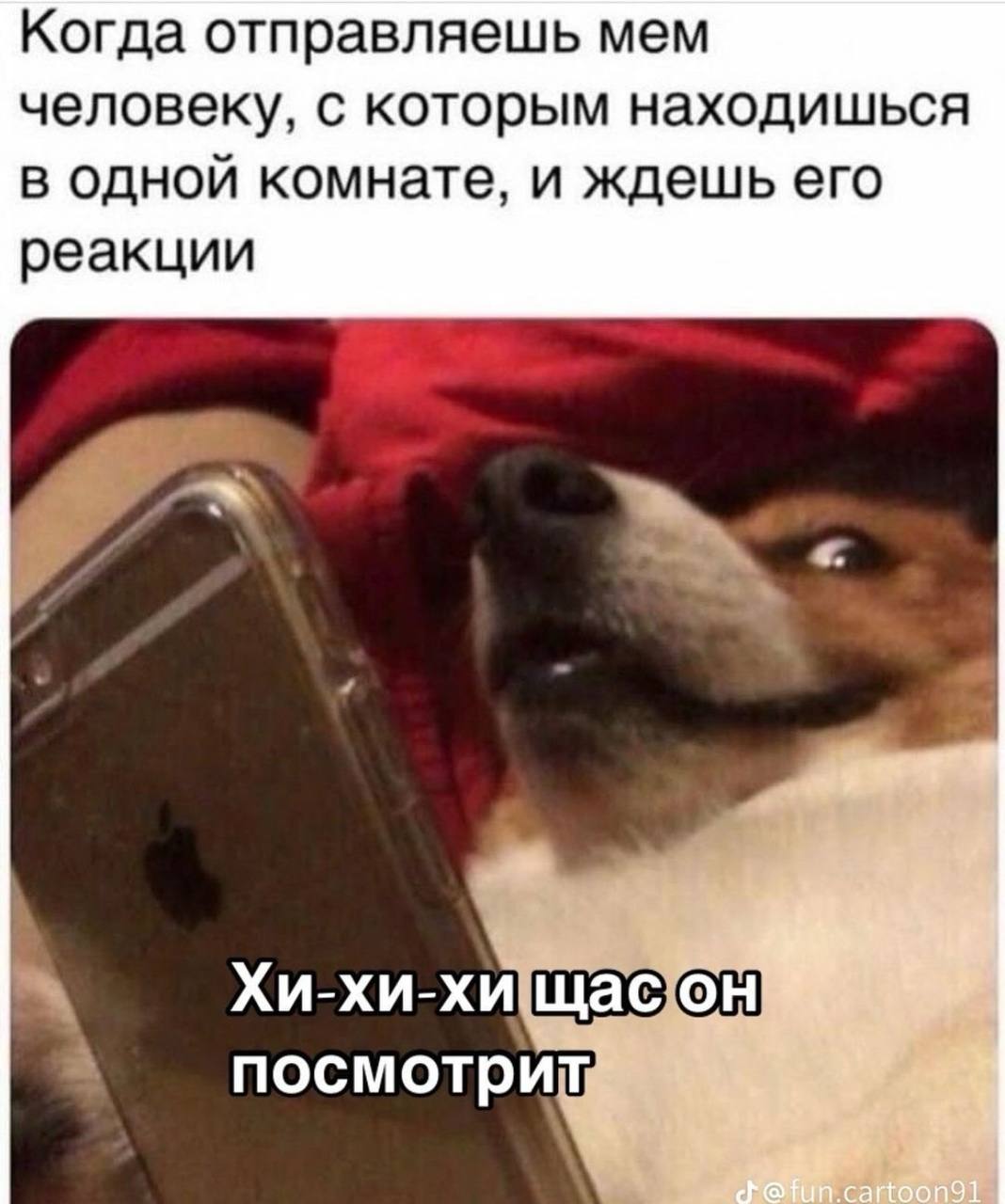 Подборка мемов за неделю | Сетка — социальная сеть от hh.ru
