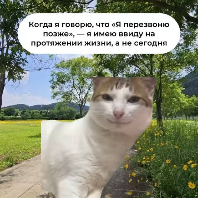 Подборка мемов за неделю | Сетка — социальная сеть от hh.ru