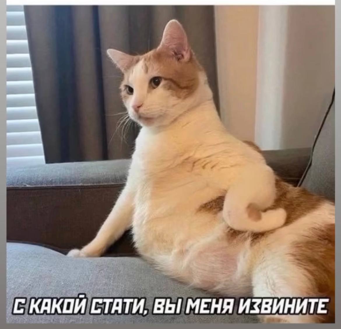 Найдите хотя бы одно отличие | Сетка — социальная сеть от hh.ru