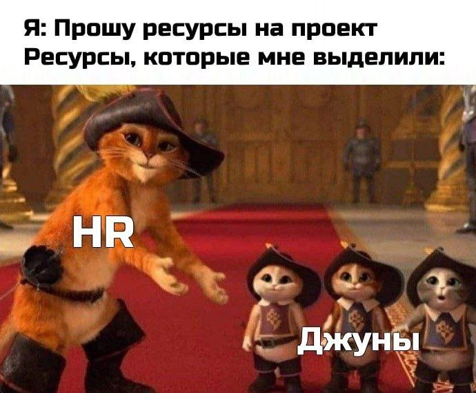 #джуны #junior | Сетка — социальная сеть от hh.ru