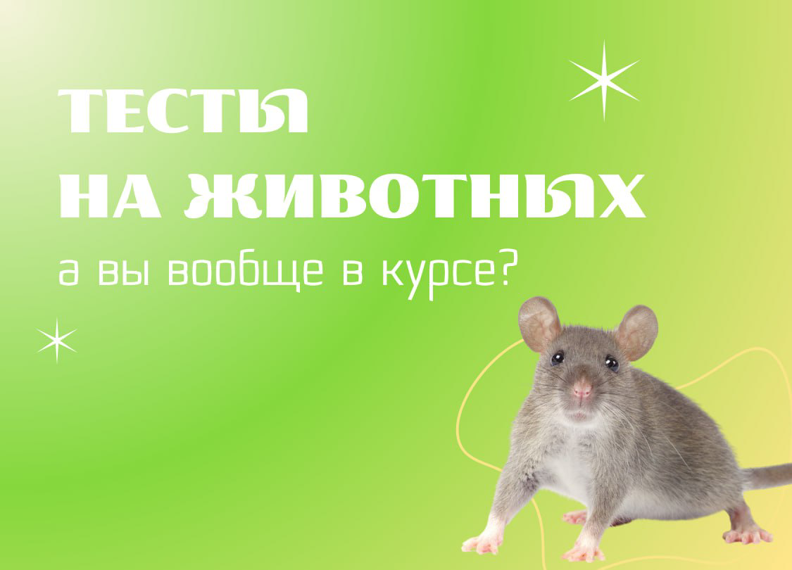 ТЕСТЫ НА ЖИВОТНЫХ | Сетка — социальная сеть от hh.ru
