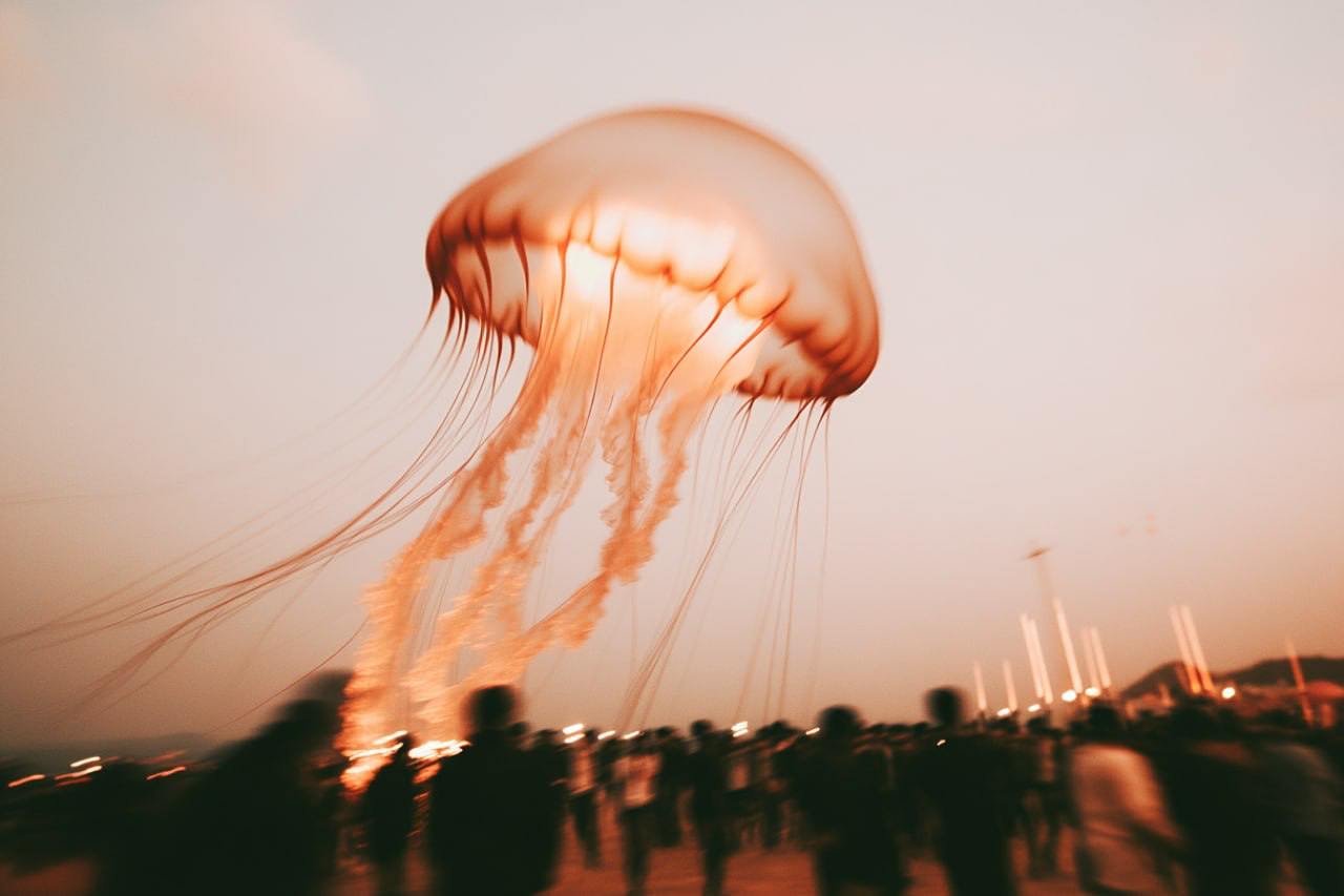 Продолжаю рассказывать о проектах выпускников креативного онлайн-кэмпа «Кэмпаньоны», который я проводил в октябре. Встречайте проект Мари Борисёнок | Сетка — социальная сеть от hh.ru