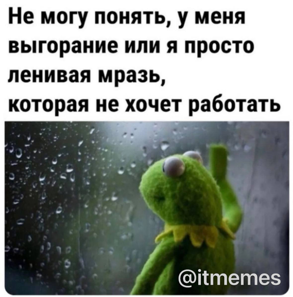 Мой лид, я это выложила, потому что смешно, а не потому что жиза | Сетка — социальная сеть от hh.ru