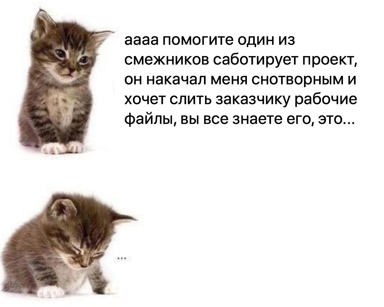 КТО?! | Сетка — социальная сеть от hh.ru