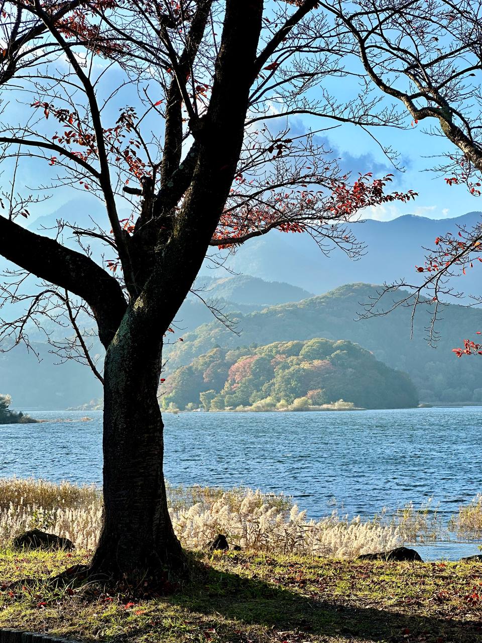 🗻 Фудзи – самое красивое, что я видел в жизни!
Продолжаю делиться фотографиями с нашего трипа по Японии | Сетка — социальная сеть от hh.ru