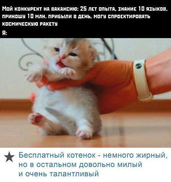 Мемы по субботам 😅 | Сетка — социальная сеть от hh.ru