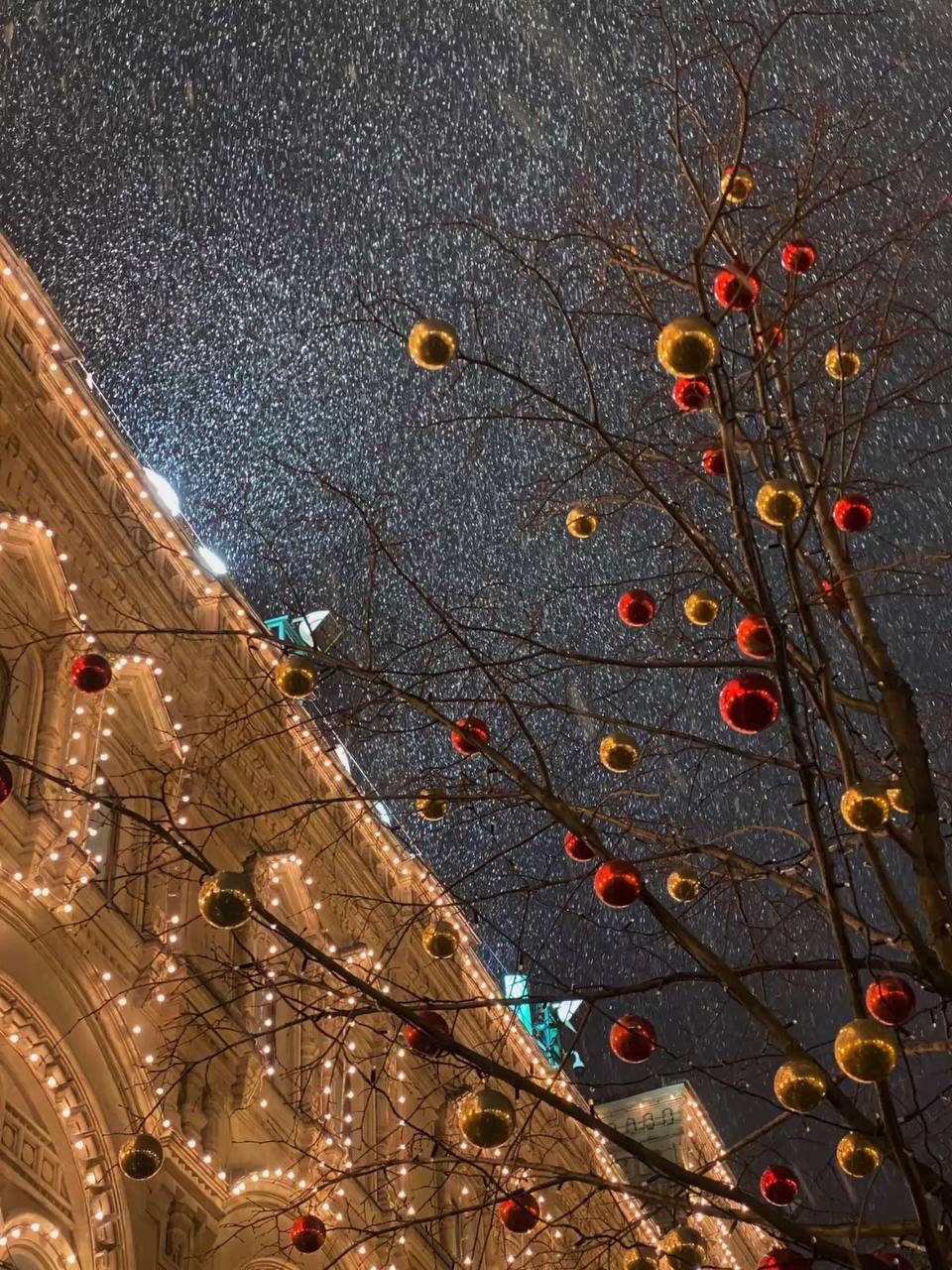 ❄️Сильный снегопад обрушится на Москву с 22 по 24 ноября
Выпадет до 15–25 сантиметров снега, который уже не растает
📲Подпишитесь на Вдвижении | Сетка — социальная сеть от hh.ru