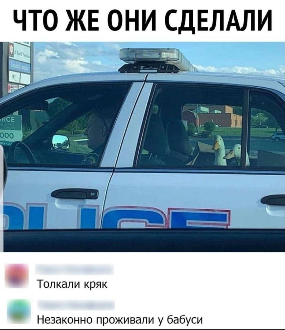 Я уже хочу наряжать елку, но мой мужик говорит что рано.
Ну как рано? Как рано-то?
Тиран, абьюзер… | Сетка — социальная сеть от hh.ru