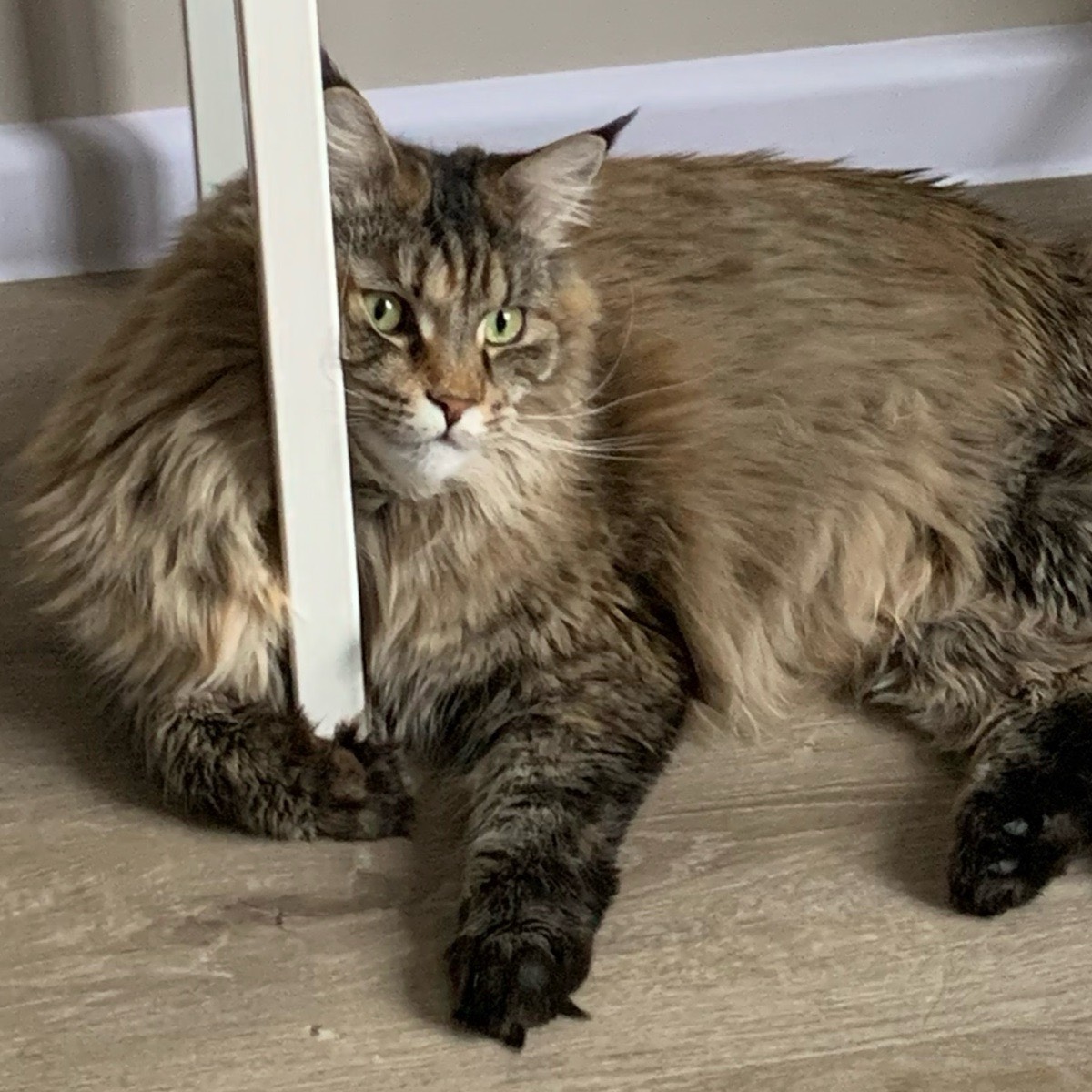 Глеб Каплунков | Сетка — социальная сеть от hh.ru