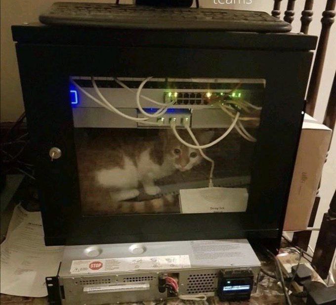 netcat | Сетка — социальная сеть от hh.ru