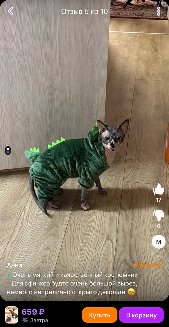 Милота! На Wildberries завезли костюмы для хвостатых с оленями и драконами. Фотографии из отзывов — разрыв сердечка 💔
К Новому году готовы!
🍕 зумеры любят пиццу | Сетка — социальная сеть от hh.ru