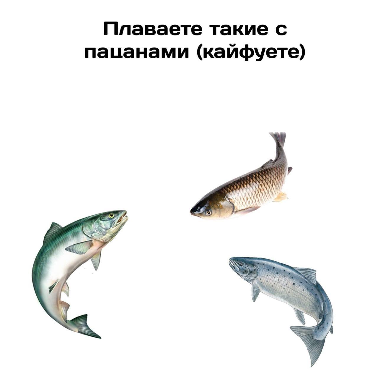 Эволюция, беспощадная ты тварь. | Сетка — социальная сеть от hh.ru