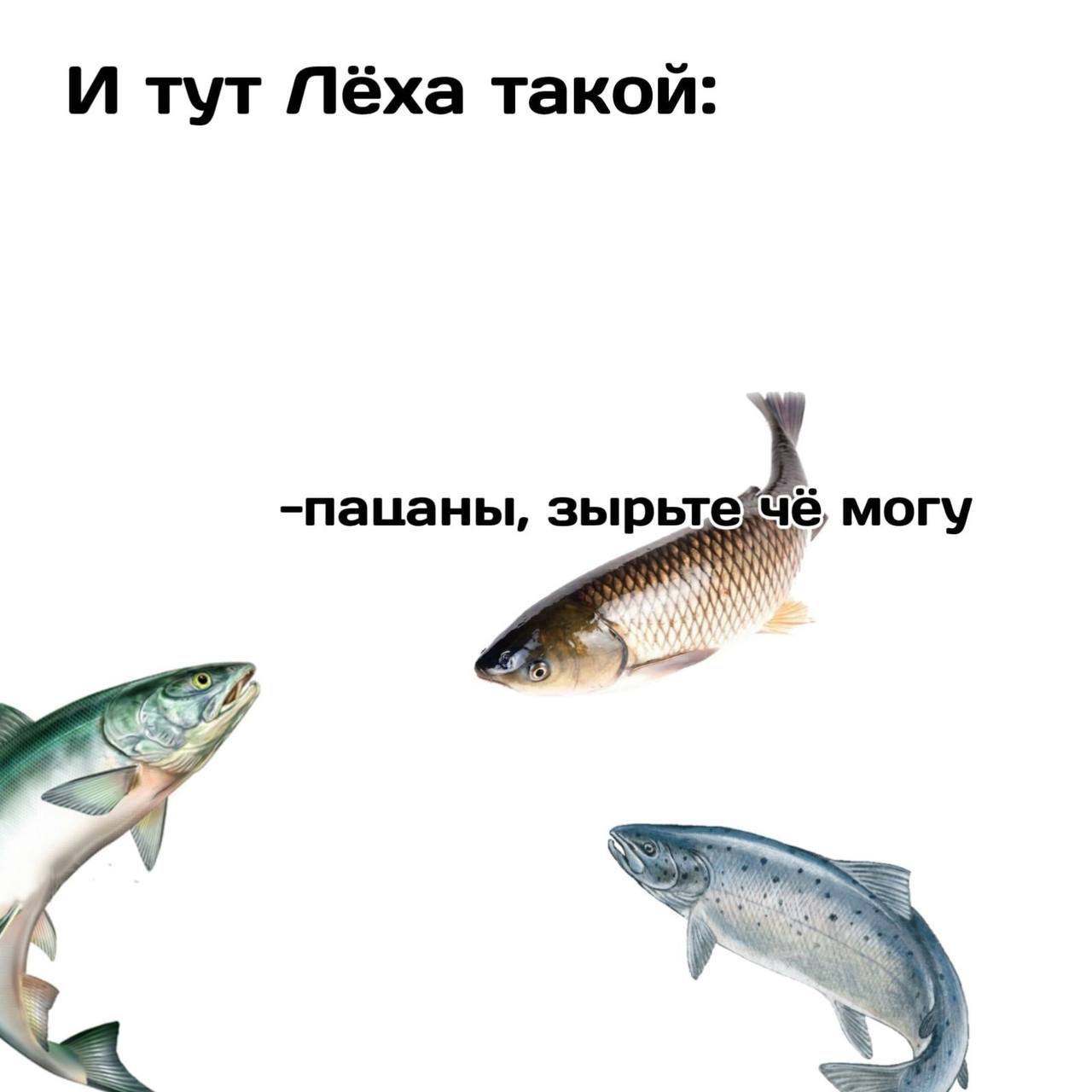 Эволюция, беспощадная ты тварь. | Сетка — социальная сеть от hh.ru