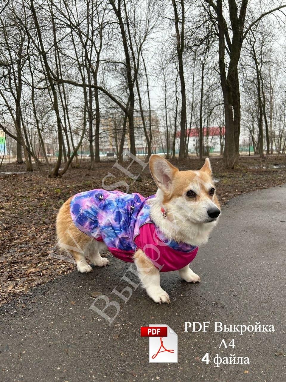 Выкройка дождевика для корги 🐾🌧
Характеристики:

Длина по спинке: 45–50 см с воротником. 📏
Обхват груди: 54–62 см. 🐾
Застёжка: молния. 🔗
Вырез горловины: округлый, стойка. 🧣
Припуски на швы: 0,7 см | Сетка — социальная сеть от hh.ru