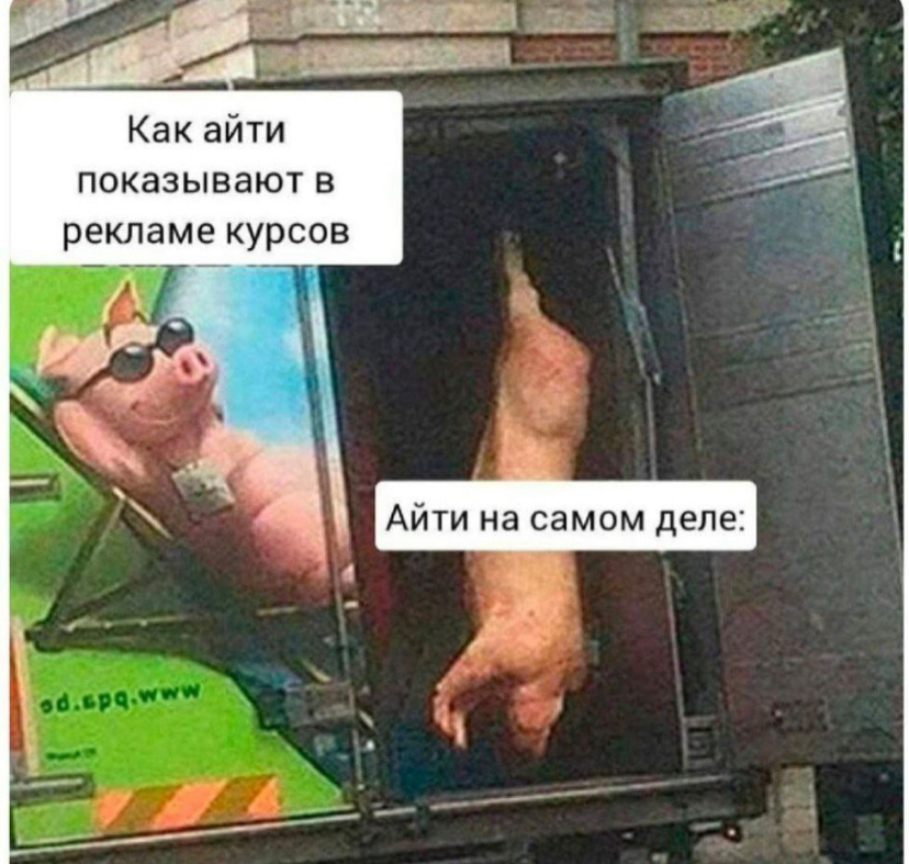Святая правда | Сетка — социальная сеть от hh.ru