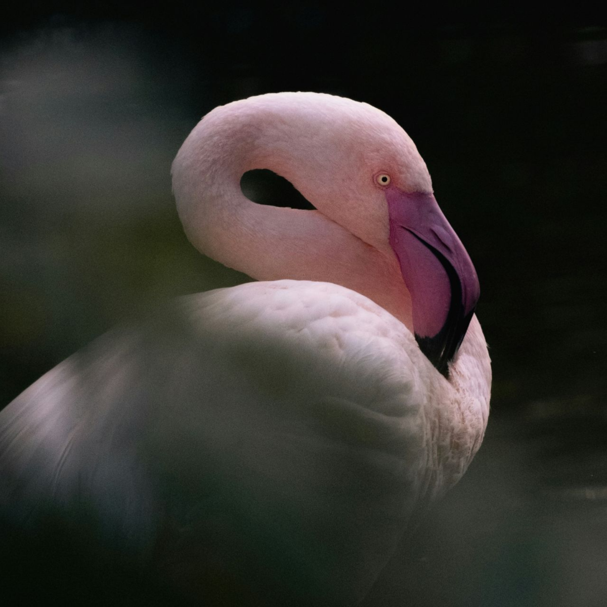 Как создать качественную стратегию для Авито? | Сетка — социальная сеть от hh.ru