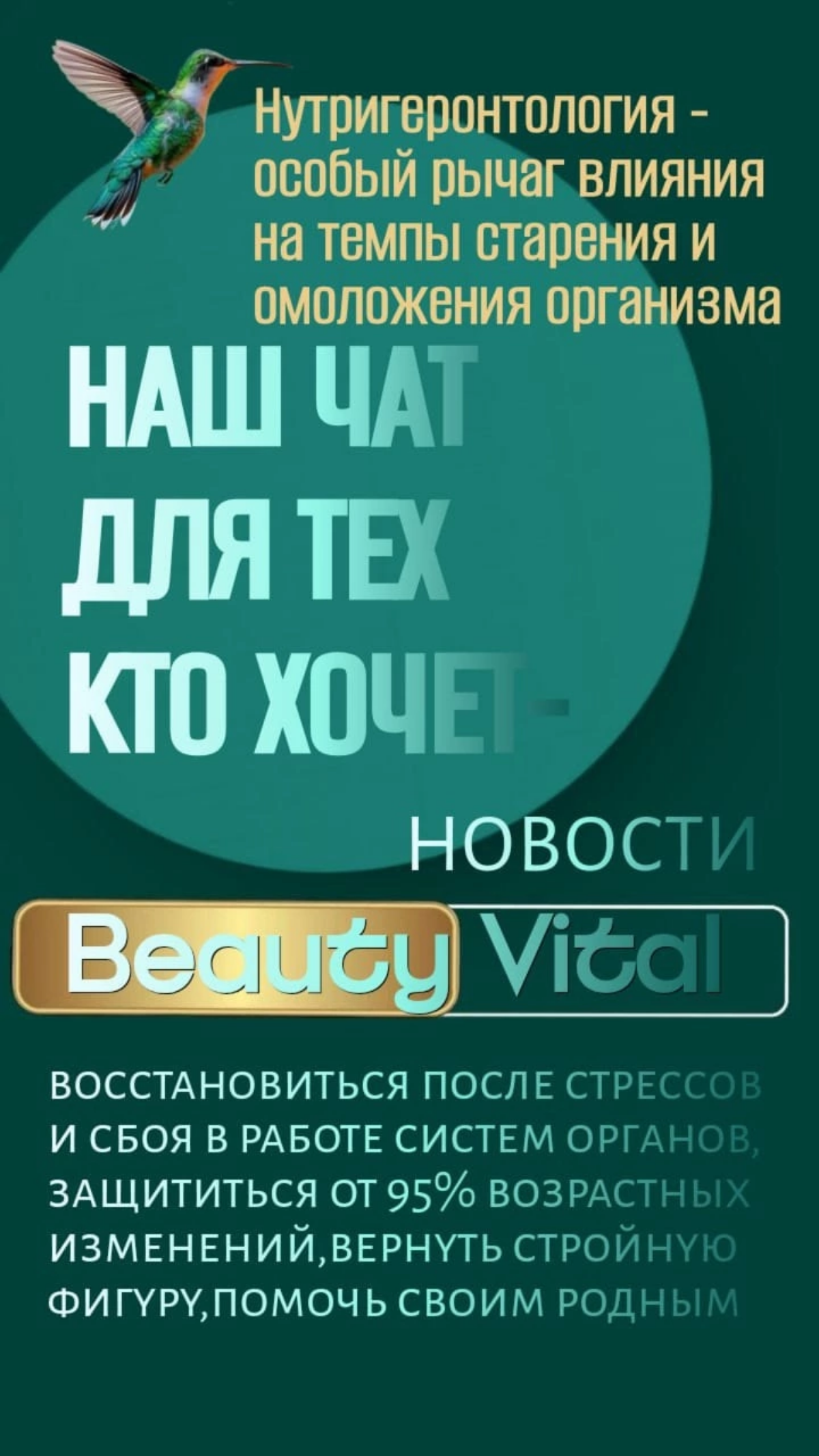 https://chat.whatsapp.com/Bh5QOr0451rJJcmPhmtNRJ | Сетка — социальная сеть от hh.ru