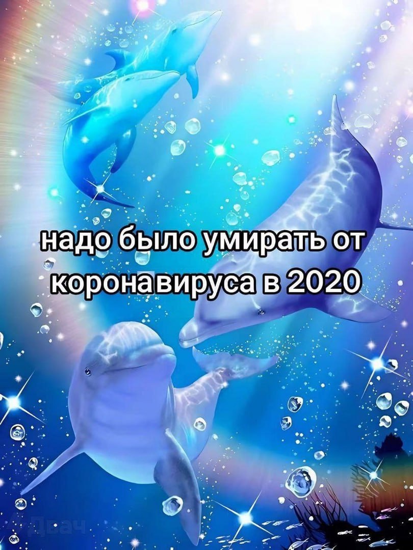 когда в понедельник снова на работу
🔗 мемы в телеграм канале | Сетка — социальная сеть от hh.ru