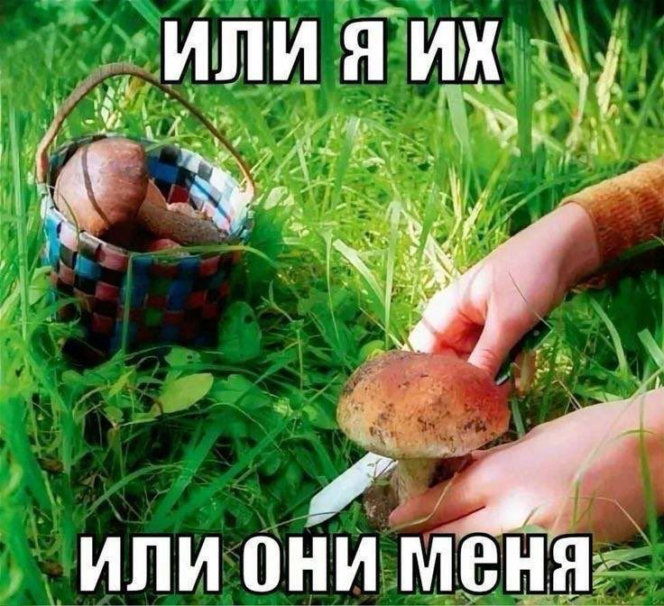 СТРАТЕГИЧЕСКАЯ ПОЗИЦИЯ И ОЦЕНКА РИСКОВ
Что такое стратегическая позиция?
Стратегическая позиция позволяет определить значимое место - положение компании на рынке | Сетка — социальная сеть от hh.ru