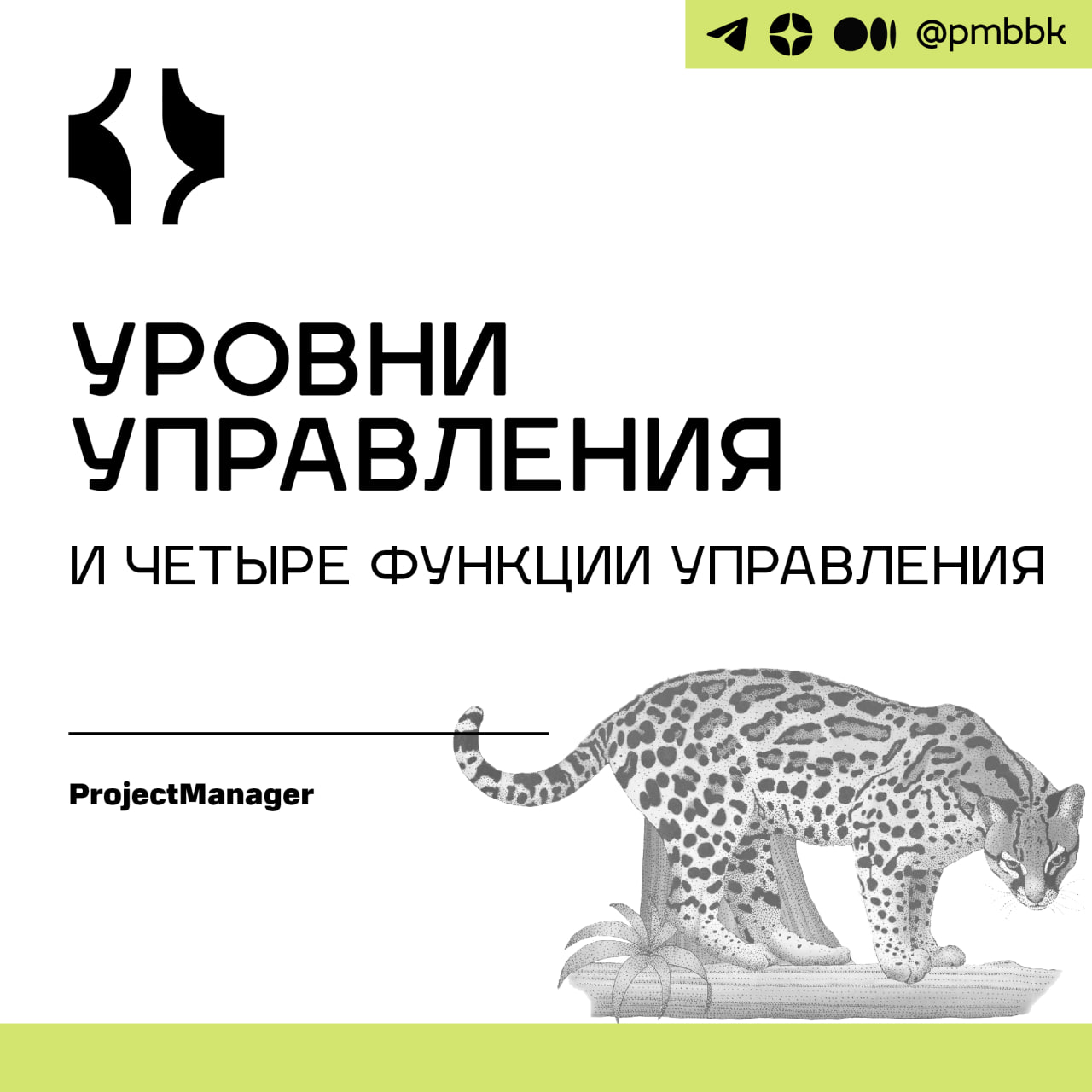 🍀 Уровни управления и четыре функции управленияСлово "менеджмент" не всегда имеет положительный оттенок | Сетка — социальная сеть от hh.ru