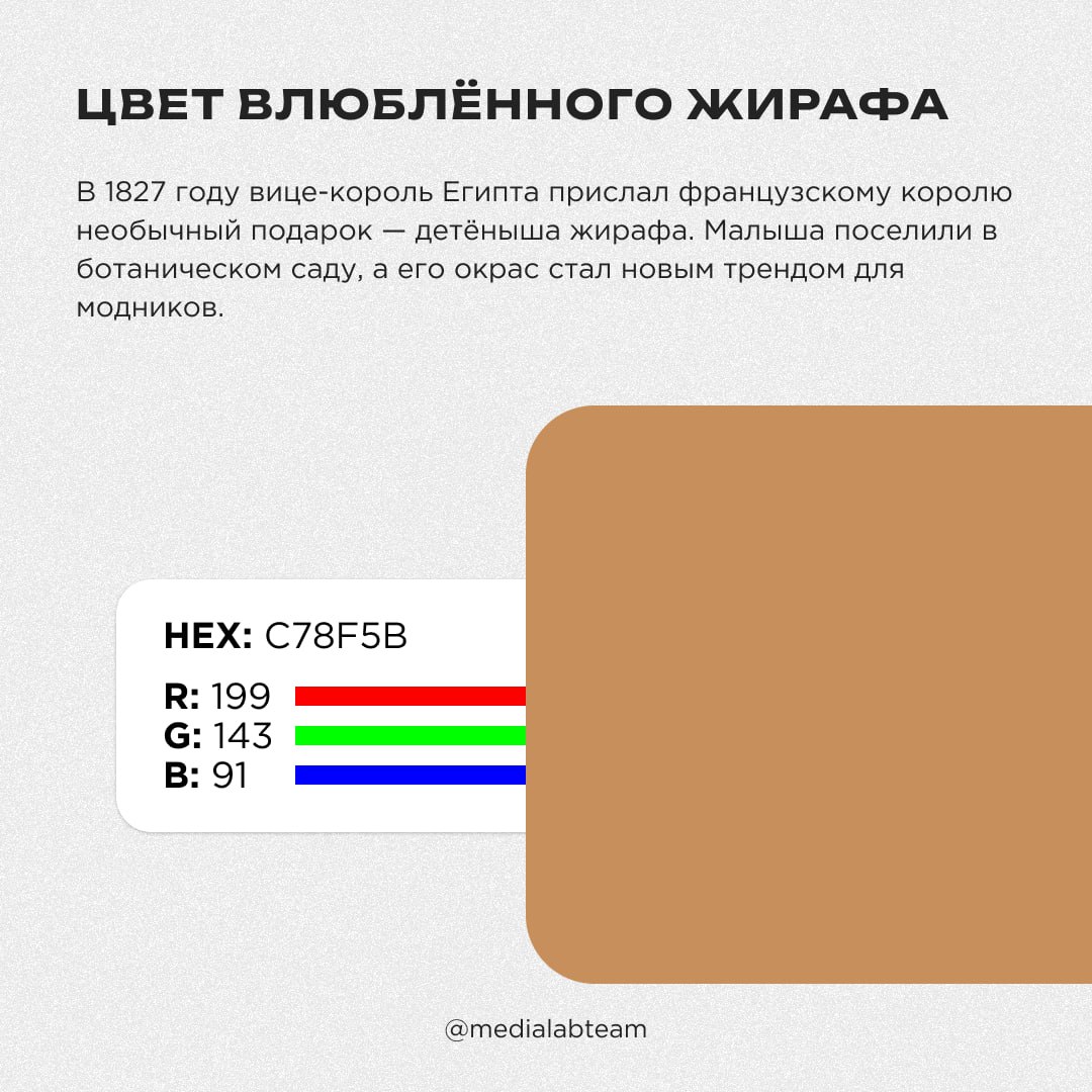 🎨 Влюбленная жаба в шапке Деда Мороза наткнулась на шокированных звёзд на берегу красного моря. Нет, мы не ошиблись чатом, просто хотим рассказать тебе о необычных названиях цветов!
@medialabteam 🤍 | Сетка — социальная сеть от hh.ru