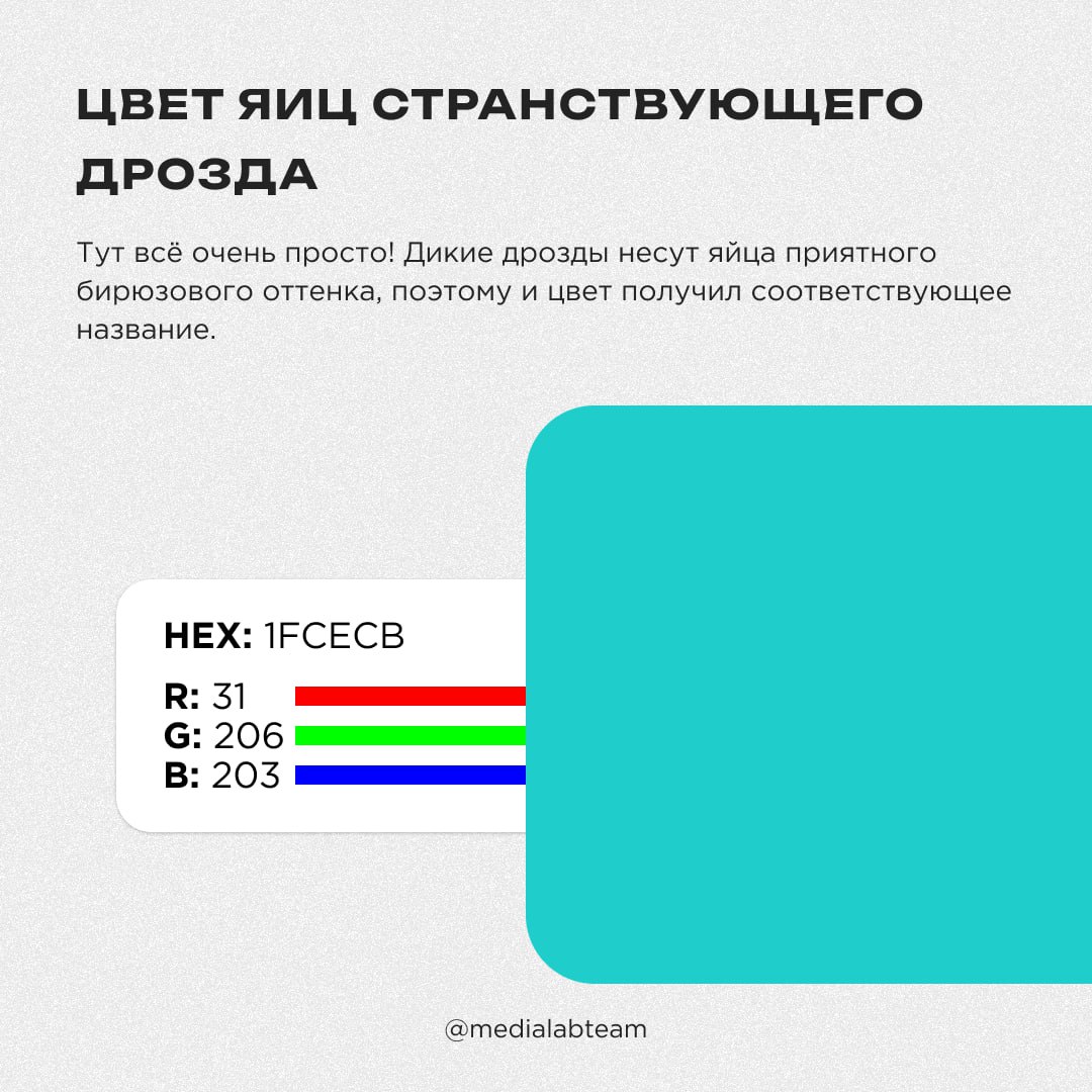 🎨 Влюбленная жаба в шапке Деда Мороза наткнулась на шокированных звёзд на берегу красного моря. Нет, мы не ошиблись чатом, просто хотим рассказать тебе о необычных названиях цветов!
@medialabteam 🤍 | Сетка — социальная сеть от hh.ru