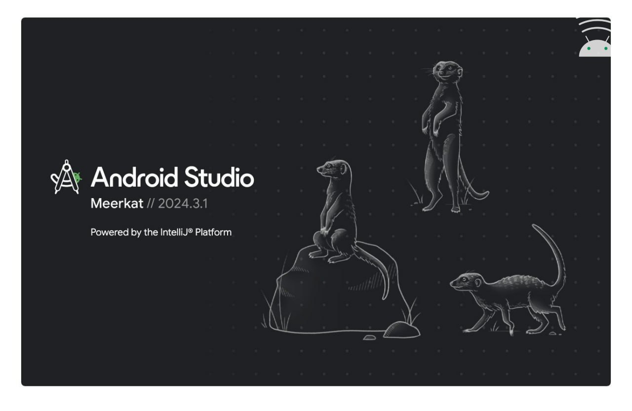 🔨 Вышла первая Canary версия Android Studio Meerkat 2024.3.1 (сурикат) Ничего нового кроме переезда на свежую IDEA Platform 2024.3, которая еще даже не успела релизнуться | Сетка — социальная сеть от hh.ru