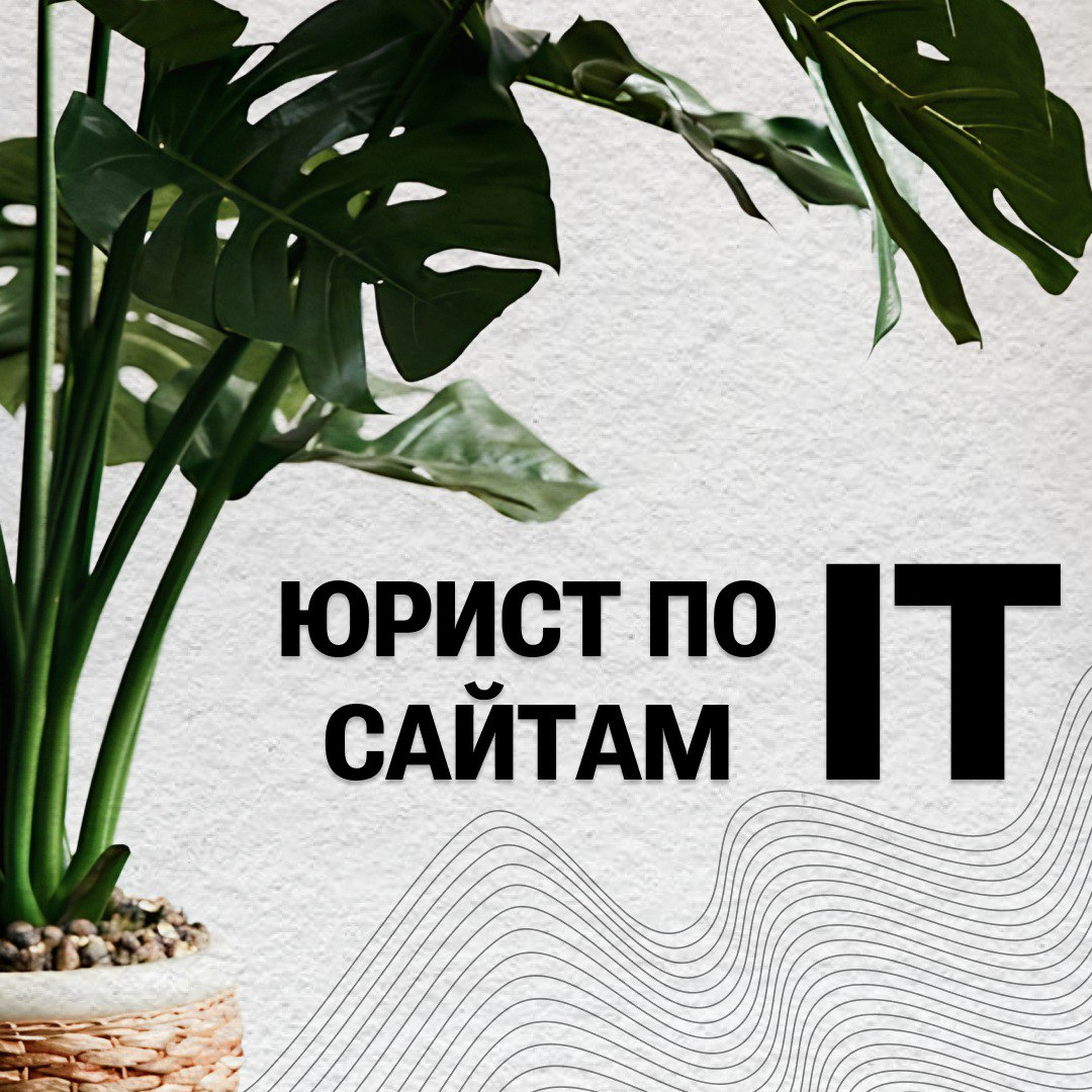 Юрист в сфере IT  
"Tempora mutantur, et nos mutamur in illis" - Мир меняется и мы меняемся вместе с ним  
Недавно получила сертификацию в сфере IT и теперь готова покорять интернет!  
👉 Чем могу помо... | Сетка — социальная сеть от hh.ru