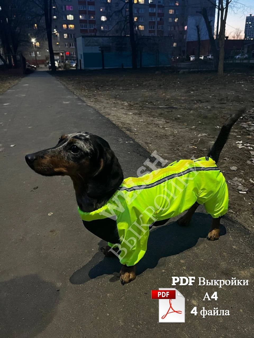 🐾 Выкройка комбинезона для мини-ТАКСЫ 🐶
Характеристики:
📏 Длина по спинке: 36-37 см (с воротником);
🧵 Обхват груди: 40 ± 3 см;
🔄 Обхват шеи: 29 ± 3 см;
🧷 Вид застежки: молния;
👕 Вырез горловины: округ... | Сетка — социальная сеть от hh.ru