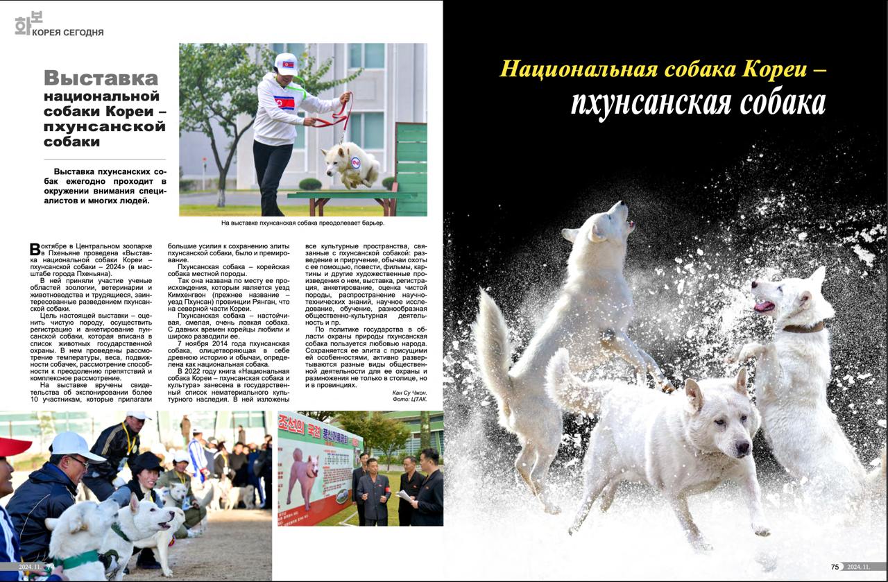 Свежий выпуск! Разбираем. | Сетка — социальная сеть от hh.ru