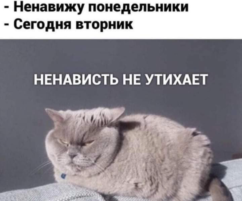 Согласимся? | Сетка — социальная сеть от hh.ru
