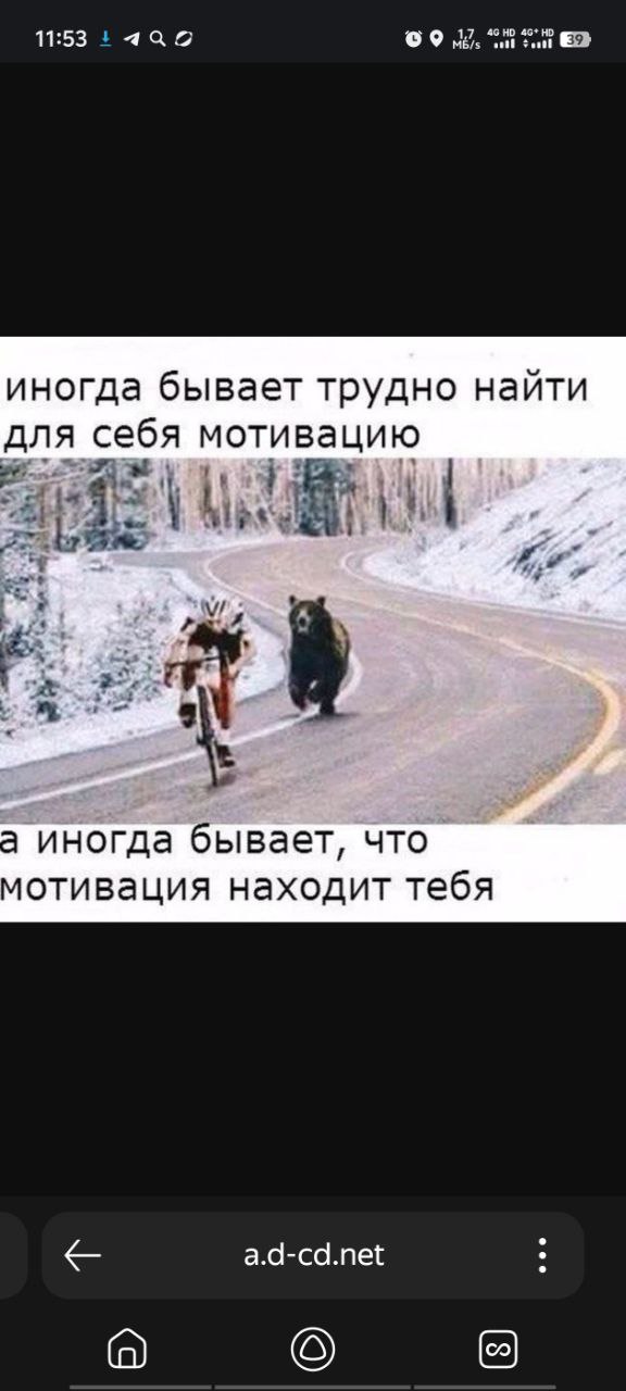 https://taplink.cc/yuliapogorelova | Сетка — социальная сеть от hh.ru