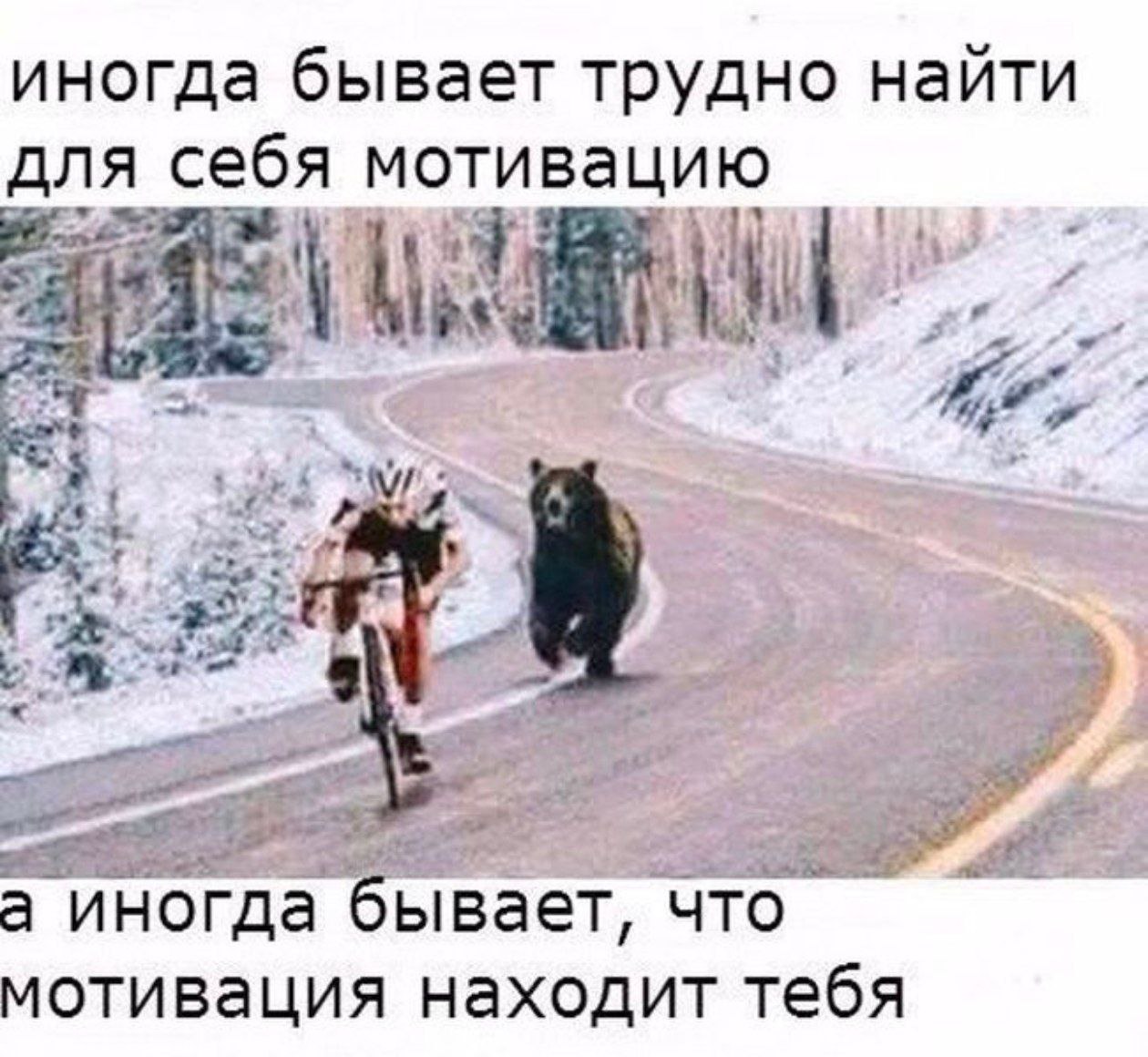 https://taplink.cc/yuliapogorelova | Сетка — социальная сеть от hh.ru