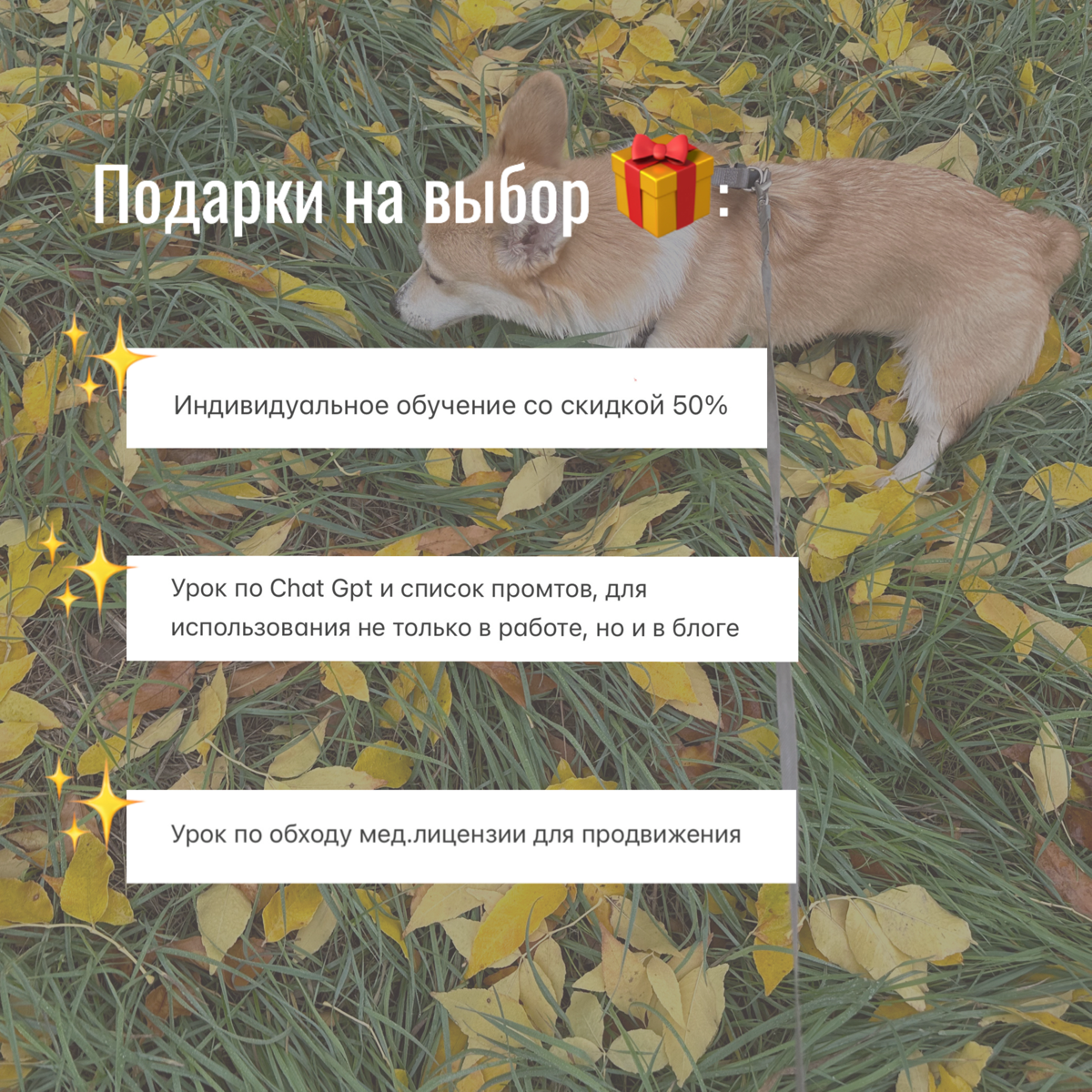 Программа тренинга «Разнос предновогоднего сезона: клиенты, воронки, продажи»
Тренинг, на котором ты точно заработаешь и создашь систему, которая будет регулярно приносить заявки на услуги!
Моя систем... | Сетка — социальная сеть от hh.ru