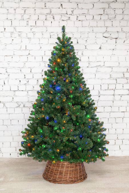 🎄✨ Друзья! Мы подбираем новогодние елки! 🎉
Приближается волшебный праздник, и пора подумать о главном символе Нового года – елке! 🌟
Мы предлагаем разнообразные варианты: от классических до экзотически... | Сетка — социальная сеть от hh.ru