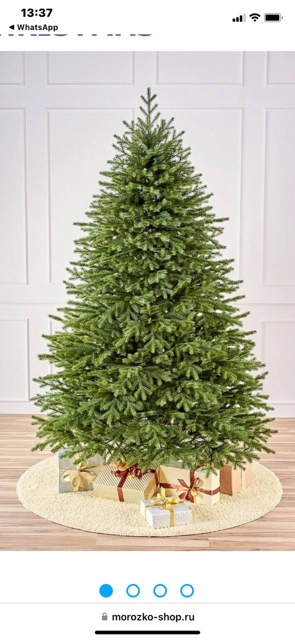 🎄✨ Друзья! Мы подбираем новогодние елки! 🎉
Приближается волшебный праздник, и пора подумать о главном символе Нового года – елке! 🌟
Мы предлагаем разнообразные варианты: от классических до экзотически... | Сетка — социальная сеть от hh.ru