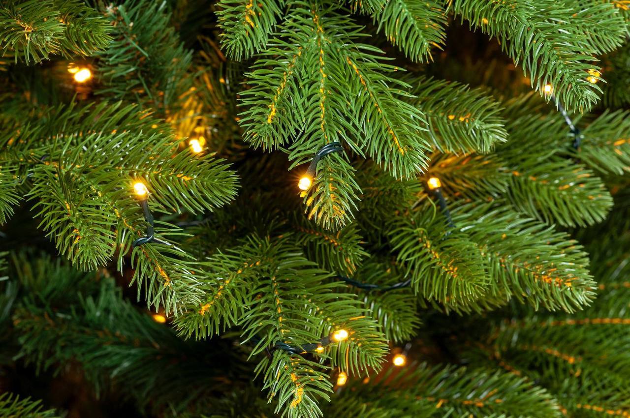🎄✨ Друзья! Мы подбираем новогодние елки! 🎉
Приближается волшебный праздник, и пора подумать о главном символе Нового года – елке! 🌟
Мы предлагаем разнообразные варианты: от классических до экзотически... | Сетка — социальная сеть от hh.ru