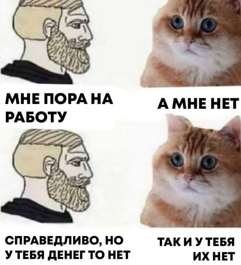 🔗 мемы в телеграм канале | Сетка — социальная сеть от hh.ru