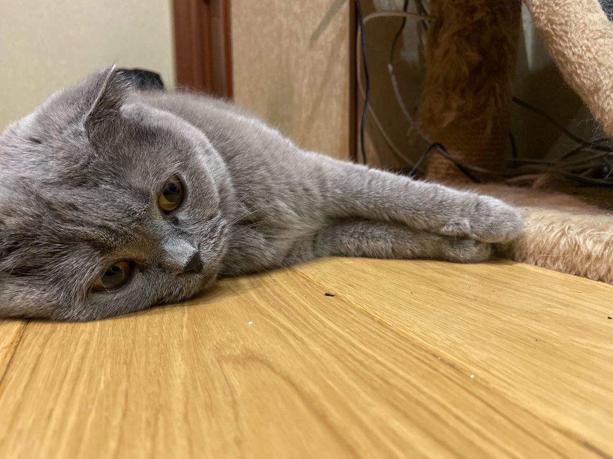 И снова здравствуйте! 🤝
Время бежит, компании развиваются, и одна из них сейчас в поисках скиллового руководителя Контент проекта, который поможет справиться с глобальной задачей, которая упростит жиз... | Сетка — социальная сеть от hh.ru