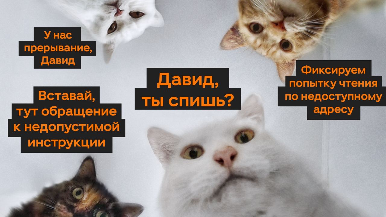 Об анатомии крэшей на iOS «по-взрослому»
В работе любого ПО как на iOS, так и на других ОС, важна стабильность и отказоустойчивость | Сетка — социальная сеть от hh.ru