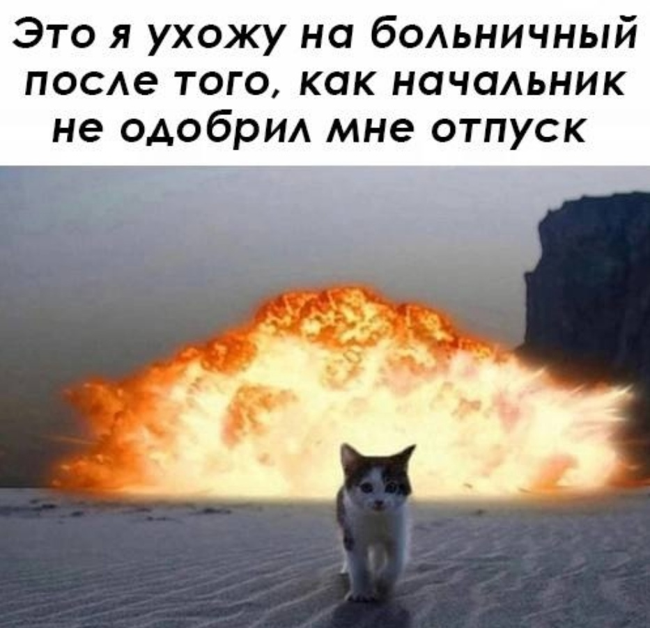На фоне жопа начальника взорвалась | Сетка — социальная сеть от hh.ru