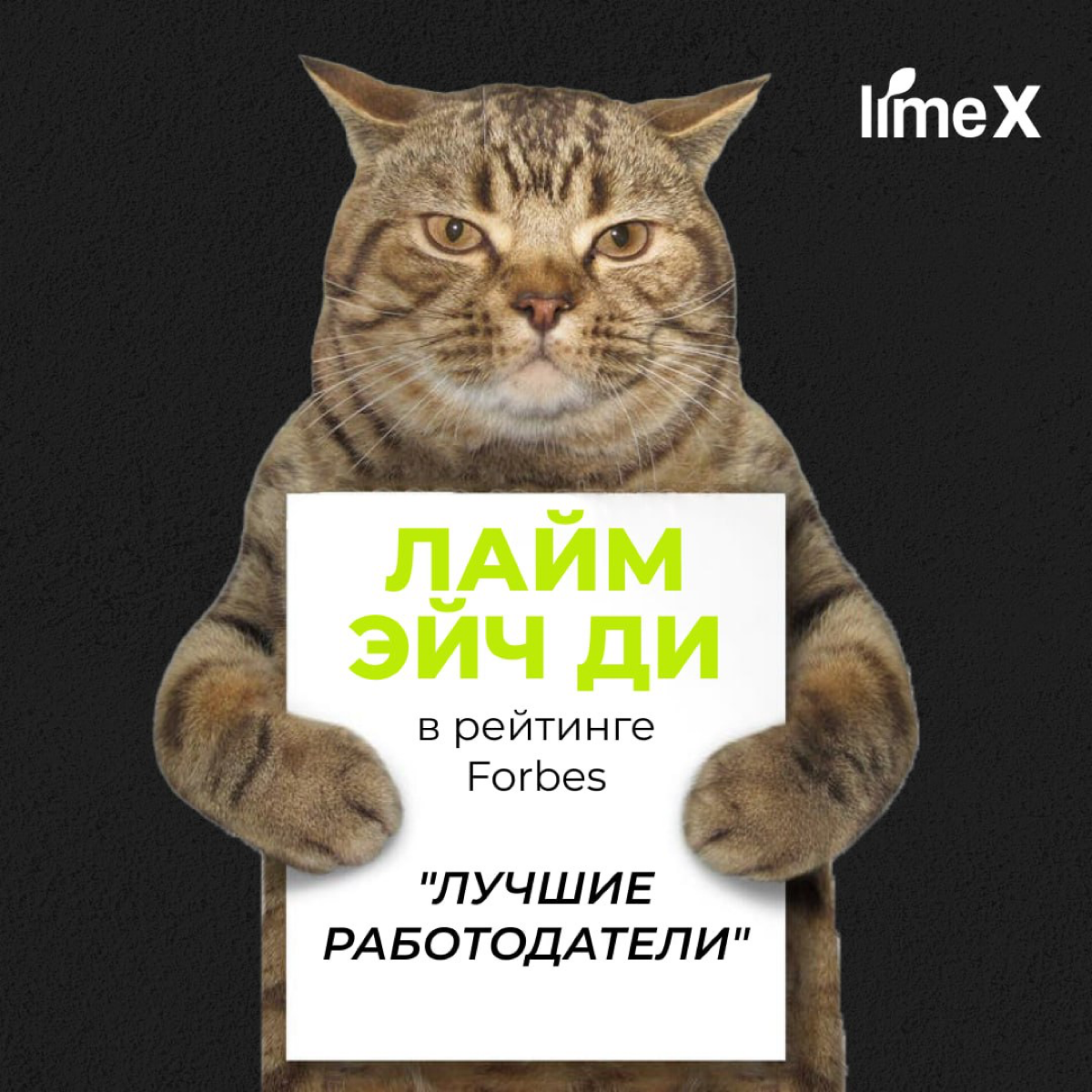 Лайм Эйч Ди в рейтинге Forbes | Сетка — социальная сеть от hh.ru